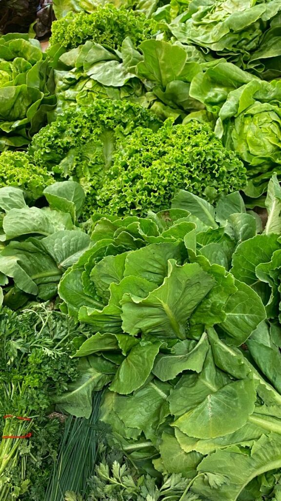 Fresh leafy greens packed with vitamins and fibre.