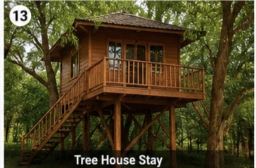 Wooden tree house stay surrounded by lush green trees